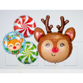 Mazs komplekts "Cute reindeer"