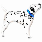 Dalmatian ФОЛЬГА ВОЗДУШНЫЙ ШАР 95 CM