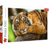 TREFL Puzle 500 Tiger