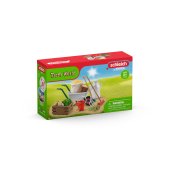 SCHLEICH FARM WORLD Staļļa kopšanas piederumi
