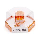 HEXBUG interaktīvā rotaļlieta Mikroskudra