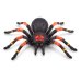 ROBOALIVE interaktīvā rotaļlieta Milzu tarantuls