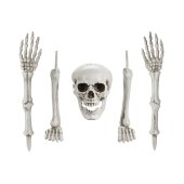 Skeleton Decoration
