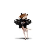 Bat Dog Costume, 45x35cm