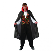 Adult costume 