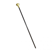 Gentlemen's cane