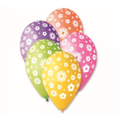 Premium Balloons 